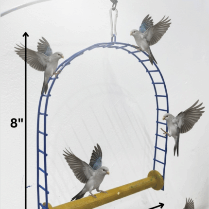 Bird Swing (7x8) inches