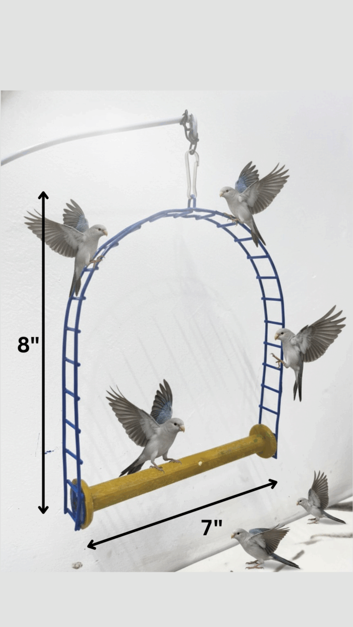 Bird Swing (7x8) inches