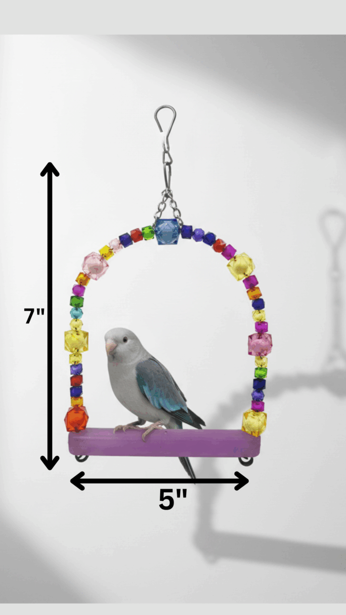 Bird Swing (5x7) inches