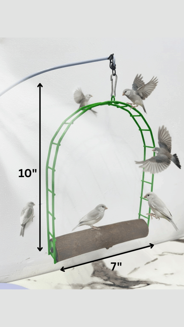 Bird Swing (7x10) inches